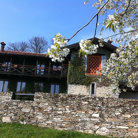 Apartamento Il Ciliegio Selvatico Verbania Exterior foto