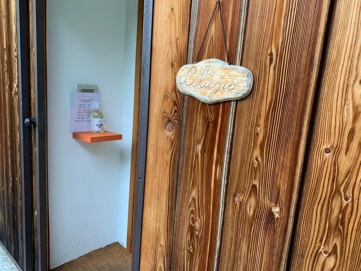 Apartamento Il Ciliegio Selvatico Verbania Exterior foto
